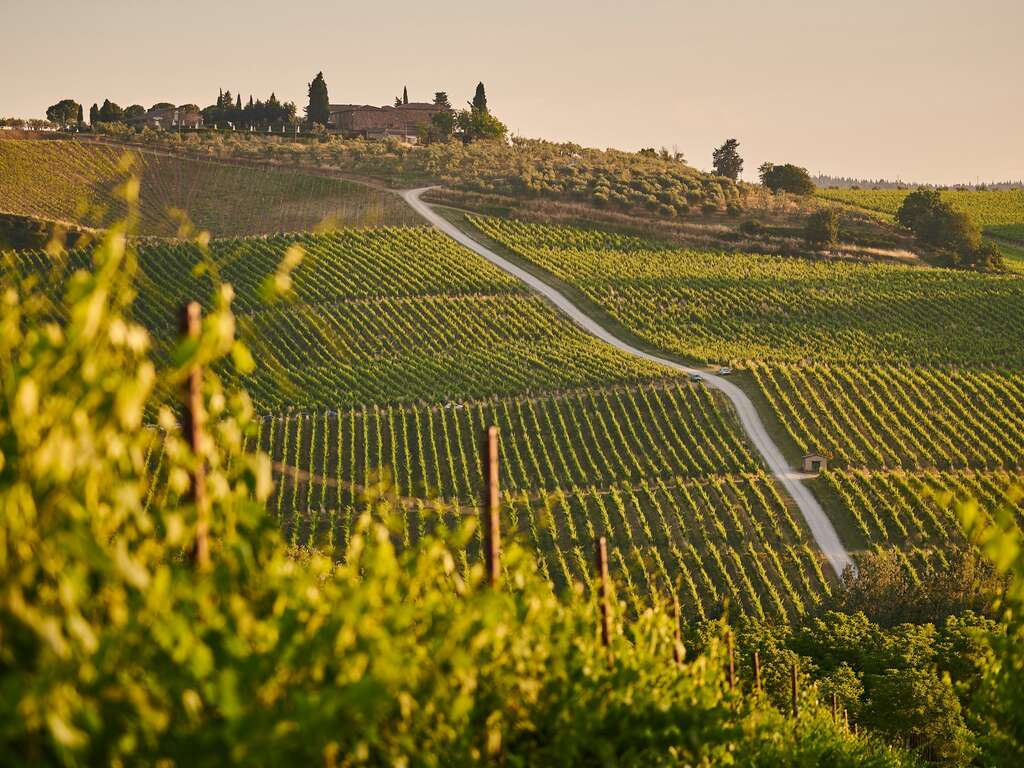 Immersion Romantique en Bourgogne : Nuitée au Coeur des Vignes avec Dégustation de Vins - 4* - 1