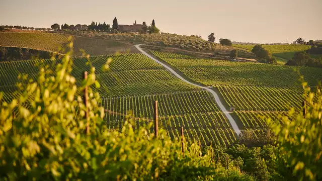 Immersion Romantique en Bourgogne : Nuitée au Cœur des Vignes avec Dégustation de Vins