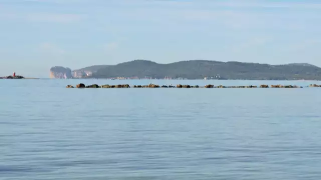 Appartement voor 4 personen op een steenworp afstand van de zee in Alghero