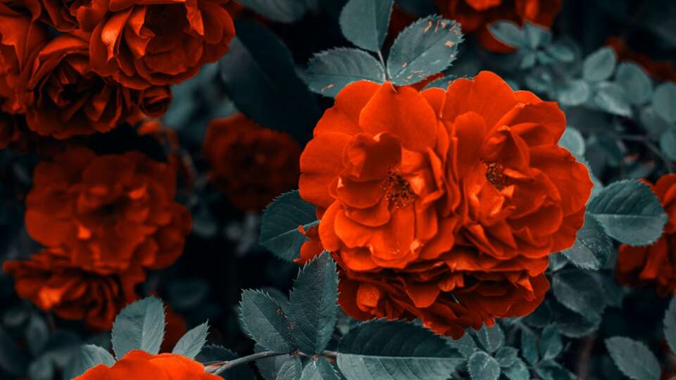 A Point Arezzo Park Hotel