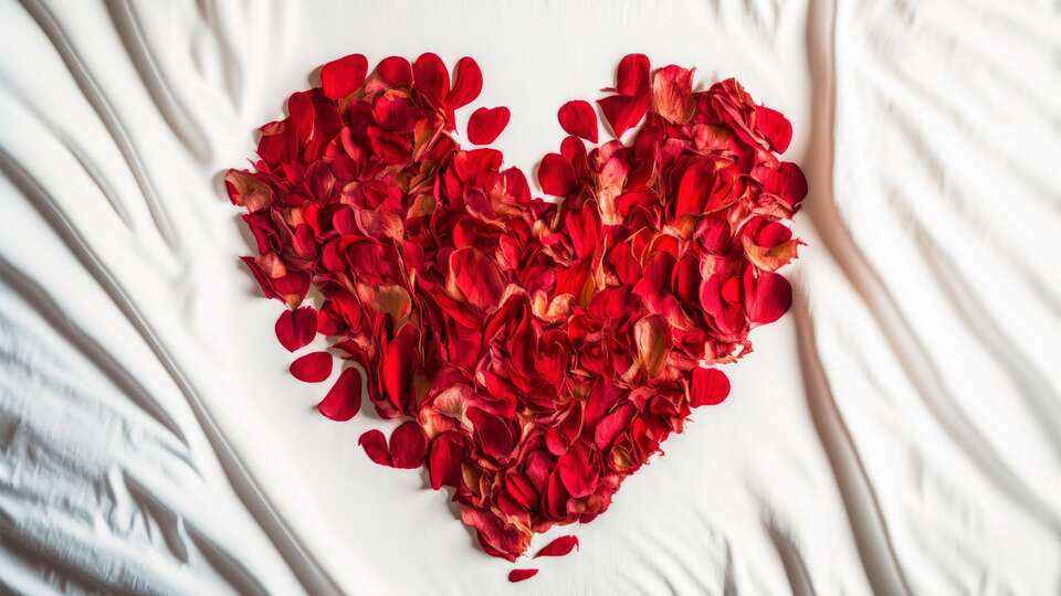 Belaroïa Montpellier Centre Saint Roch