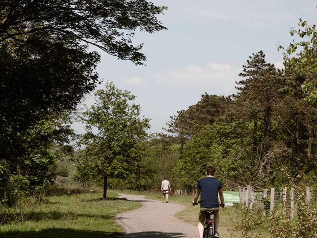 Luxe et gastronomie pendant votre séjour à Castricum - 4* - 15