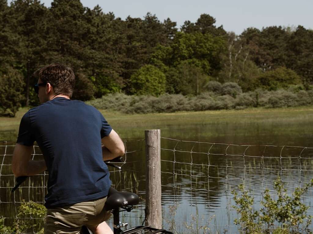 Luxe et gastronomie pendant votre séjour à Castricum - 4* - 16