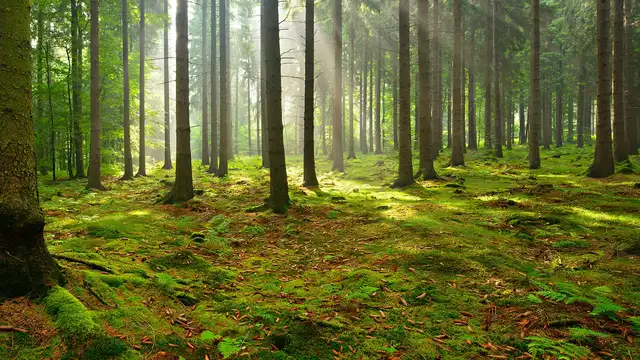 Séjour en glamping dans la Sierra de la Pandera