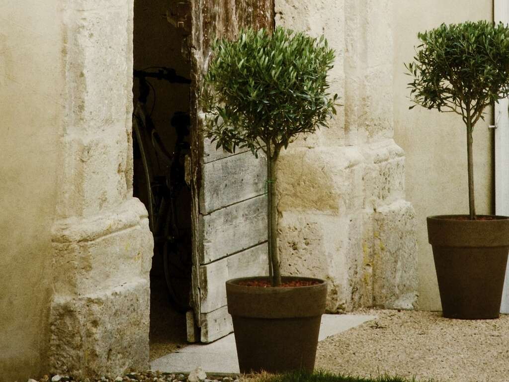 Escapade dans une bastide en plein coeur d'un golf en Gascogne - 3* - image 1