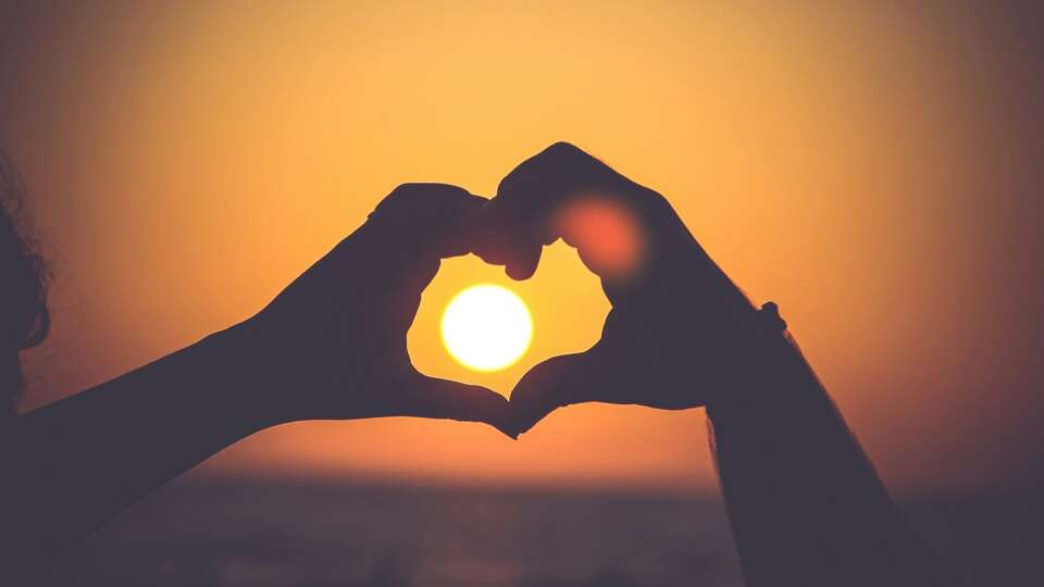 Hôtel Mercure Niort Marais Poitevin