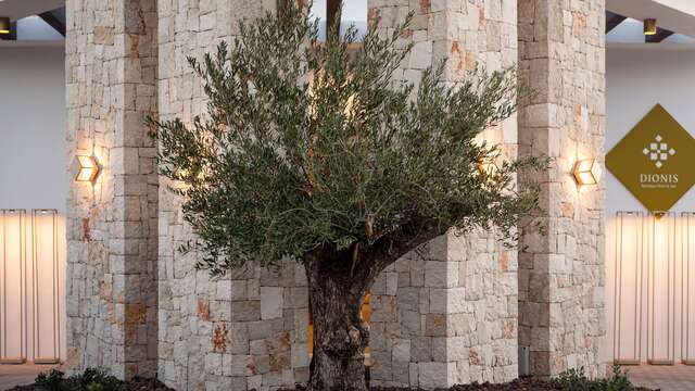 Dionis Hotel Boutique