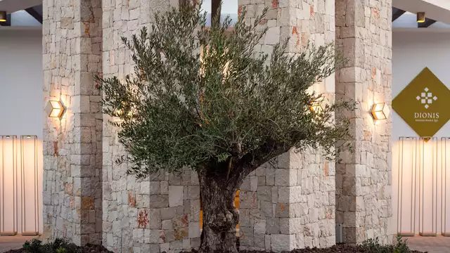 Escapada romántica cerca de Denia en habitación con vistas al mar