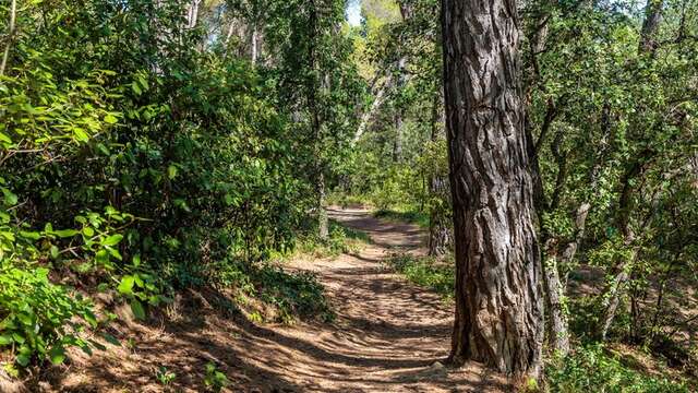 Vacanceole - Residence Les Demeures du Ventoux