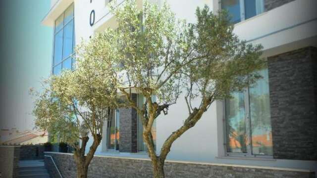 Lam Hotel Villa Aljustrel