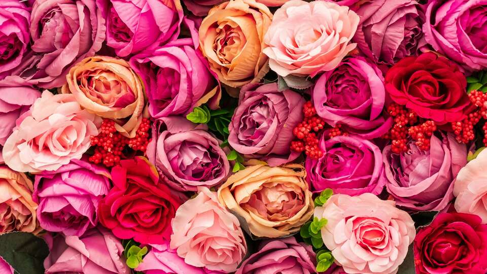 Oste del Castello Wellness e Bike Hotel