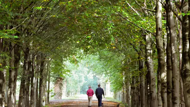 Escapada familiar a Bagnoles-de-l'Orne (gratuito para los niños)
