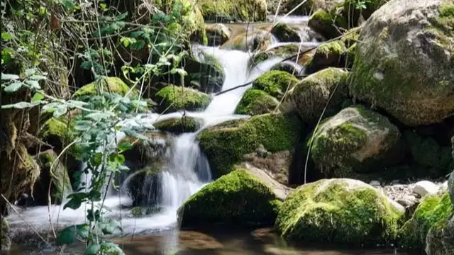 Profitez de la Sierra de Jaén entre amis ou en famille