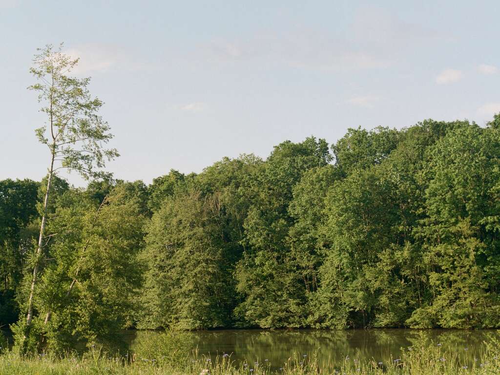 Escapade gastronomique au coeur du Loir-et-Cher. - 2* - 8