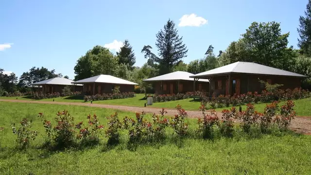 Escapade au vert au coeur de la Corrèze (1nuit)
