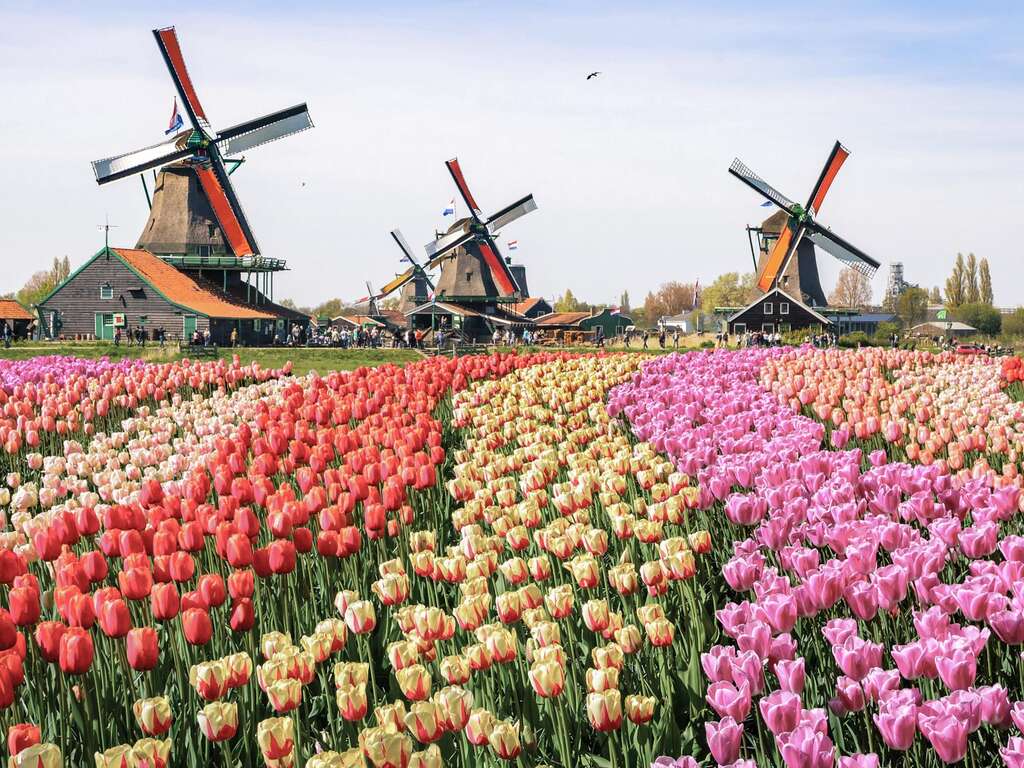 Découvrir Zaandam ? Commencez par une nuit au Zaan Hotel Amsterdam - Zaandam - 4* - 1