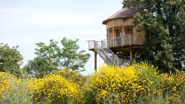 Séjour 100% insolite dans une cabane avec dîner près de Poitiers