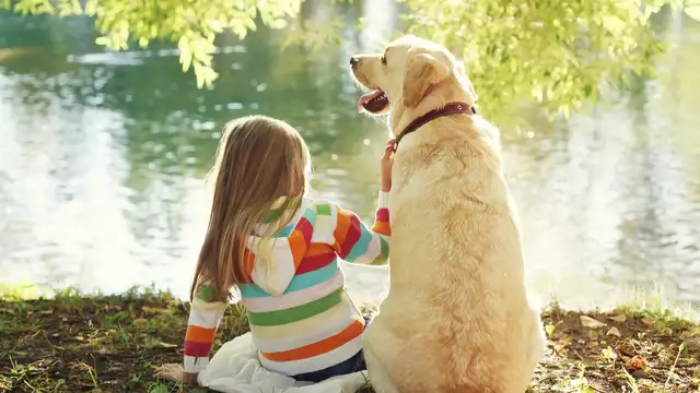 Desconexión en Girona con tu mascota en habitación con terraza