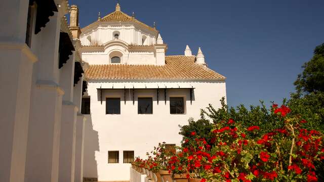 Monasterio de San Francisco