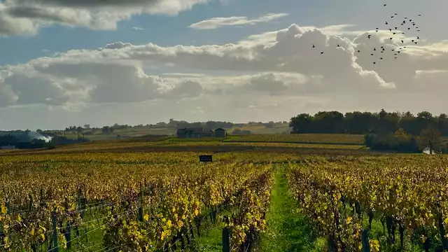 Soggiorno benessere con massaggio e spa vicino a Saint Émilion