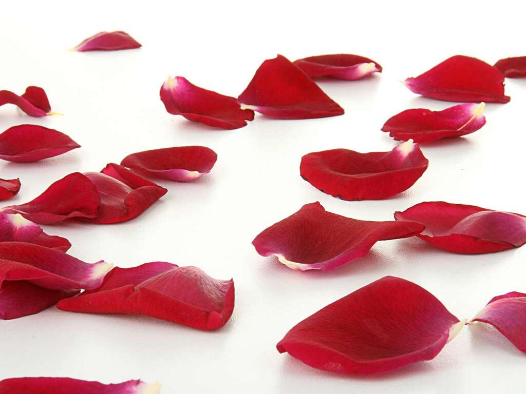 Vacances romantiques de luxe près de Paris - 4* - 12