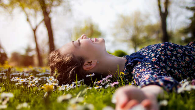 Primavera ad Alkmaar: un mix perfetto di piacere culinario e relax