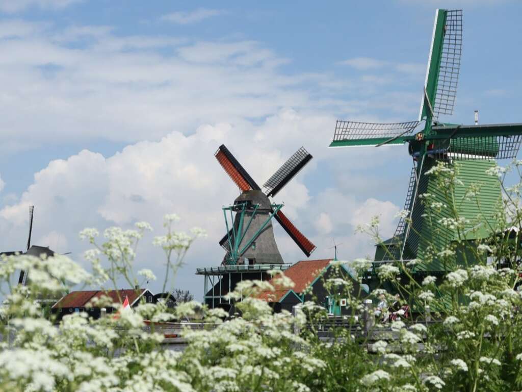 Découvrez le charme de Zaandijk - 1