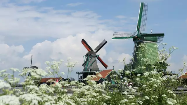 Découvrez le charme de Zaandijk