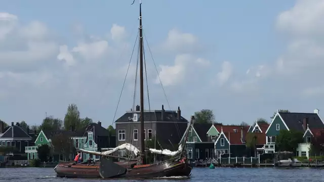 Contemplen juntos los impresionantes molinos de viento de la Zaanse Schans