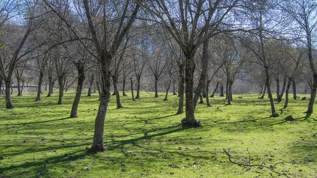 Spa y cava en la Sierra de Guadarrama