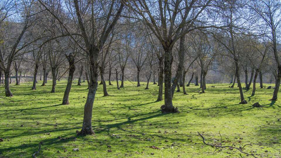 Hospederia La Cañada