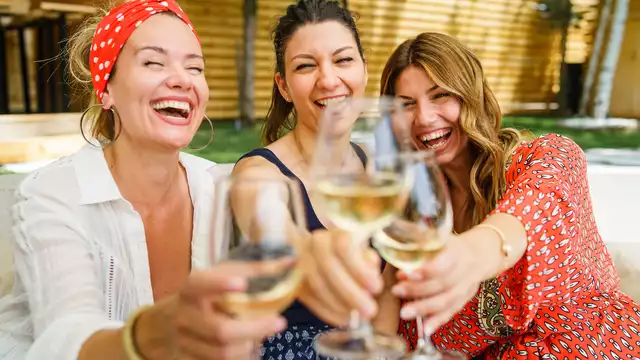Estancia de 2 días en Helmond con cata de vinos