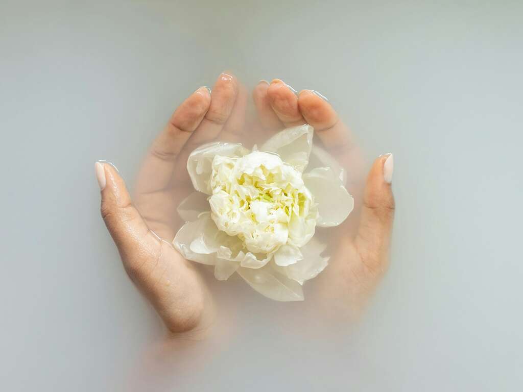 Evasion bien-être en Bretagne - 3* - 1