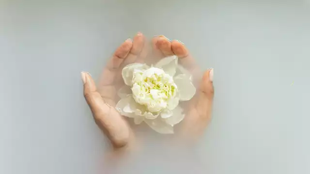 Wellness-uitje in Bretagne