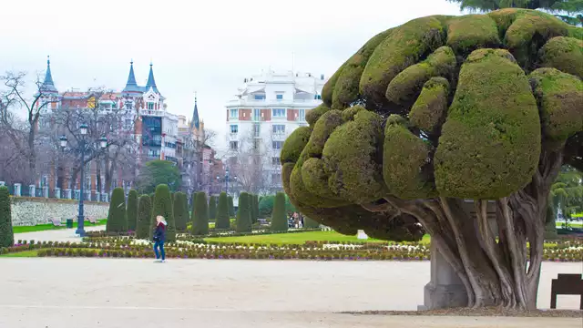 Vacanze romantiche in mezza pensione vicino a Madrid