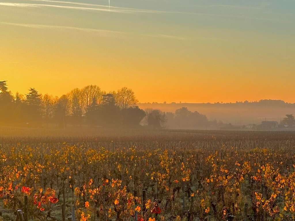 Séjour détente près de Libourne - 4* - 20