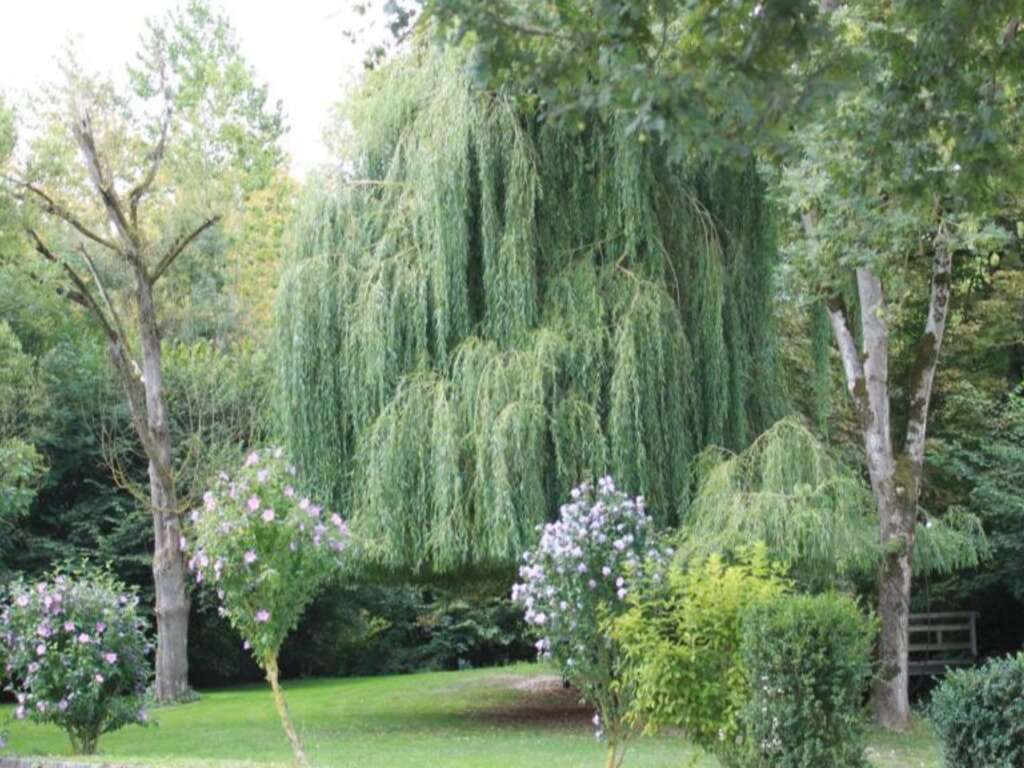 Escapade romantique avec dîner au Clos de Mutigny - 3* - 6
