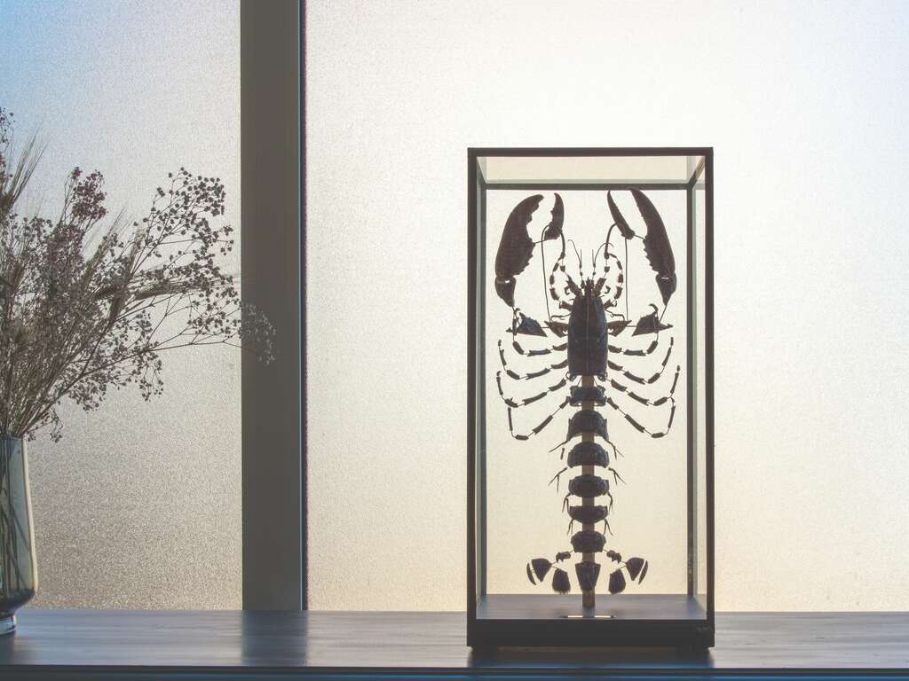 Escapade en amoureux avec dîner sur l'île d'Oléron - 3* - 10