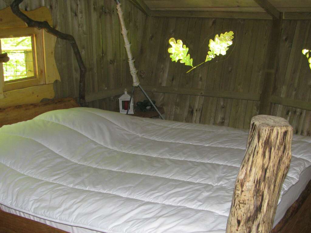 Escapade dans les arbres avec accès au Futuroscope (35 minutes) - 2* - 24