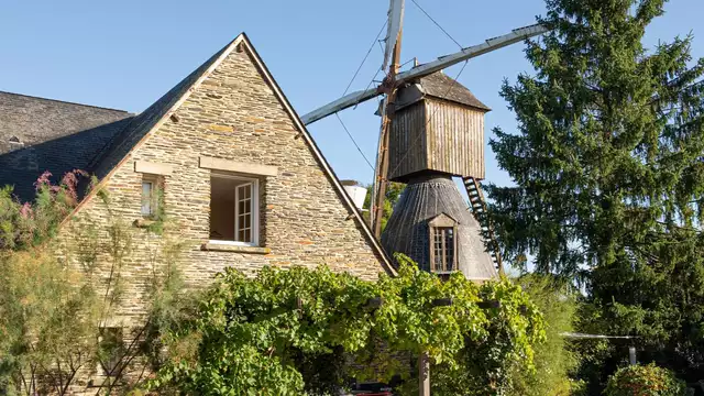 Domaine du Moulin Cavier
