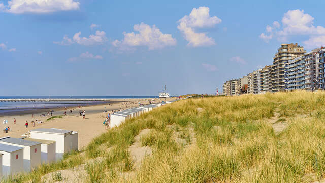 Acropolis - Luxury Appartments