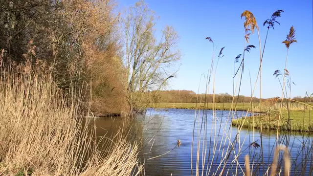 Fin de semana en la Biesbosch, cena incluida