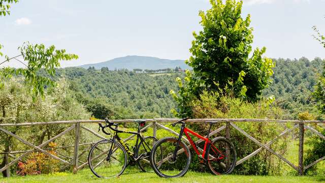 Estancia familiar en Umbría con excursión en bicicleta incluida.