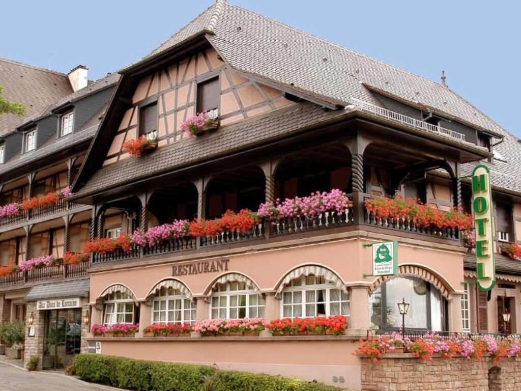 Escapade alsacienne et visite d'un domaine viticole - 3* - 2