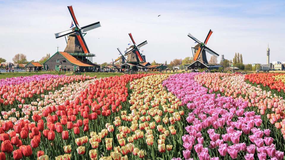 Best Western Zaan Inn