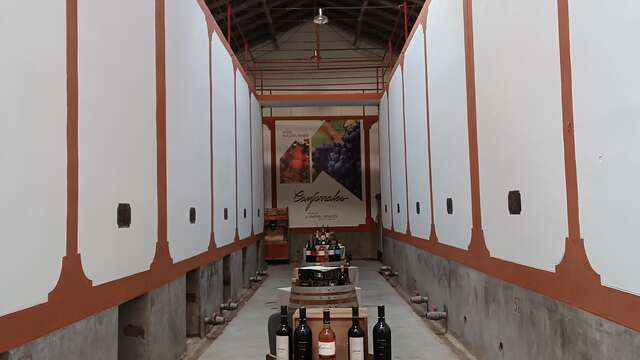 Degustazione di vino nel cuore della Castiglia-La Mancia