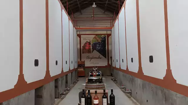 Degustazione di vino nel cuore della Castiglia-La Mancia