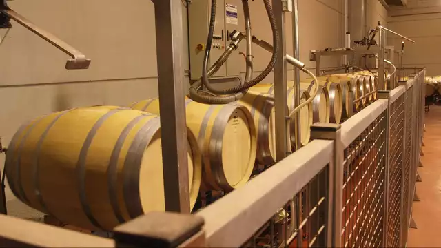 Escapada con visita a bodega y cata
