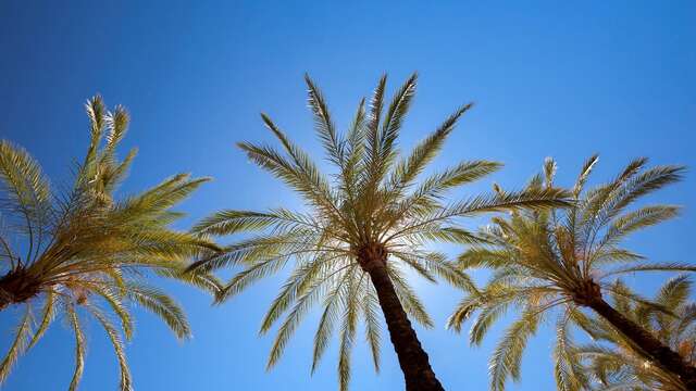 Korte vakantie aan de kust van Huelva met halfpension
