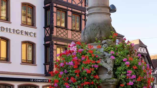 Een romantisch uitstapje in de omgeving van Straatsburg